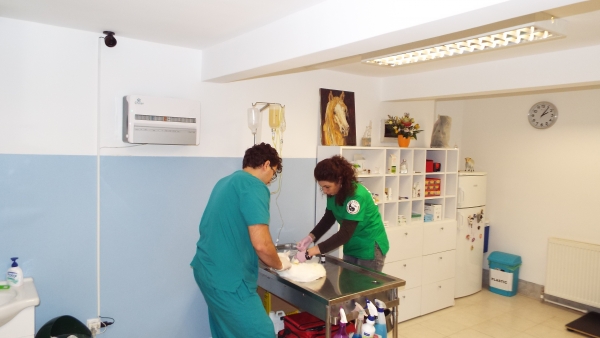 Cabinet veterinar Izzy-Vet