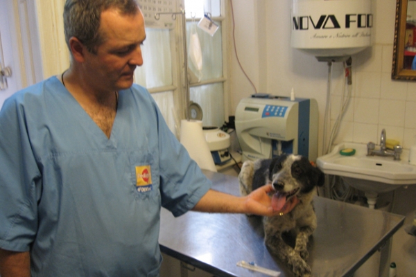 Cabinet veterinar Pet Home