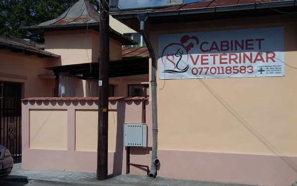 CMV Micu Adrian