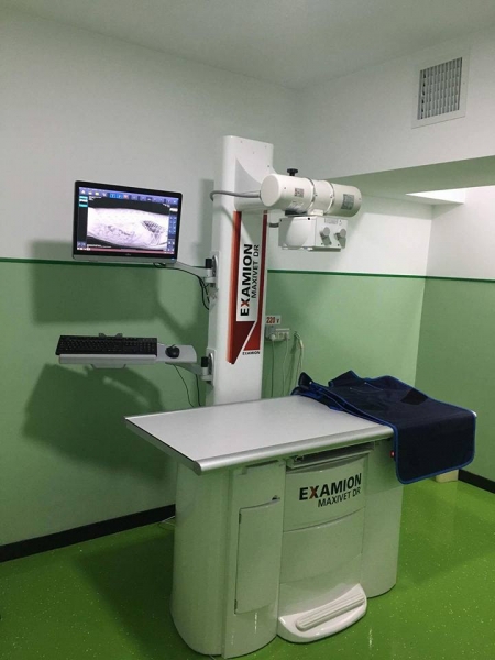 SPITAL VETERINAR MUNICIPAL PRIMA VET