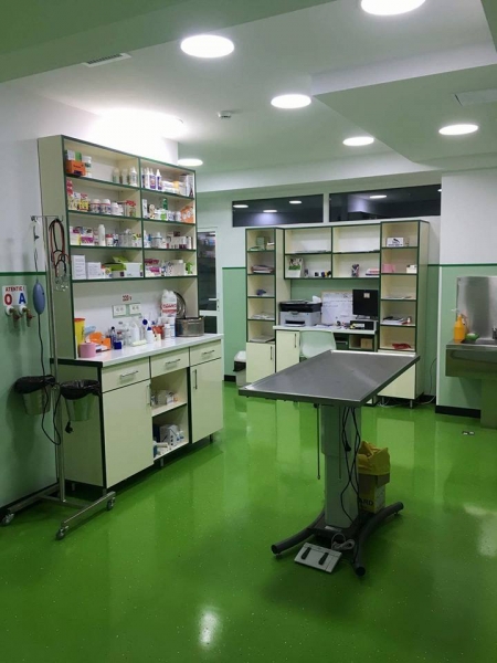 SPITAL VETERINAR MUNICIPAL PRIMA VET