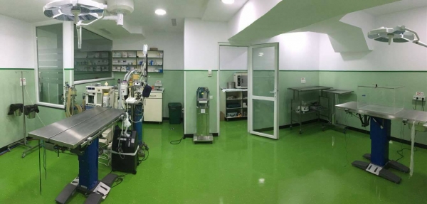 SPITAL VETERINAR MUNICIPAL PRIMA VET