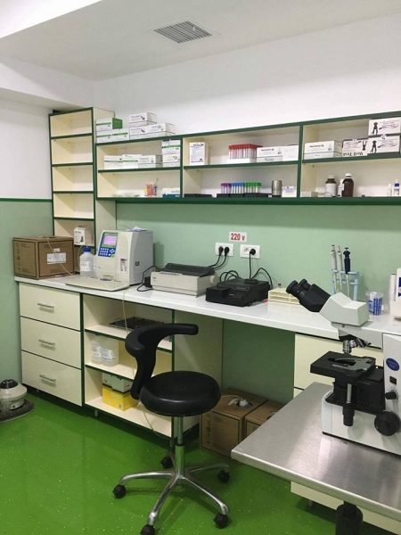 SPITAL VETERINAR MUNICIPAL PRIMA VET