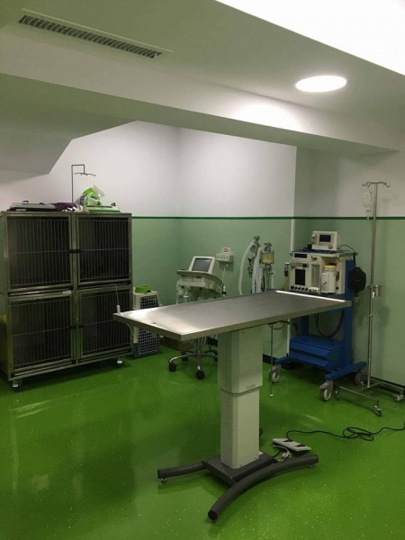 SPITAL VETERINAR MUNICIPAL PRIMA VET