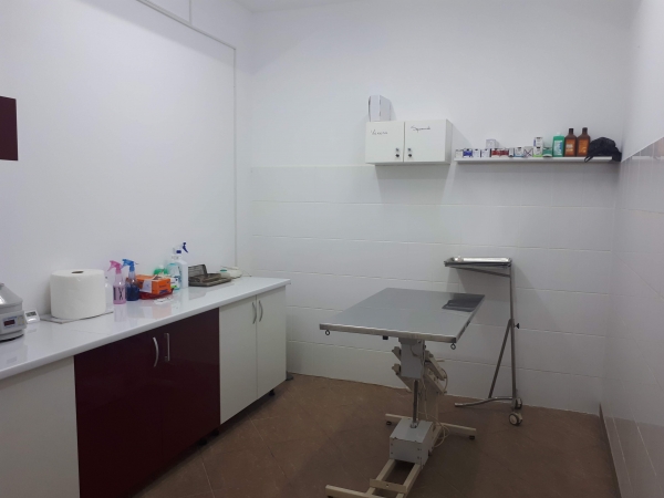 CABINET VETERINAR AVIS HEALTH VET