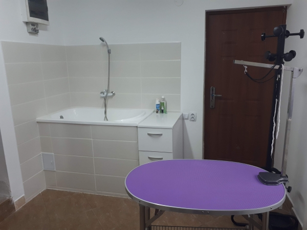 CABINET VETERINAR AVIS HEALTH VET