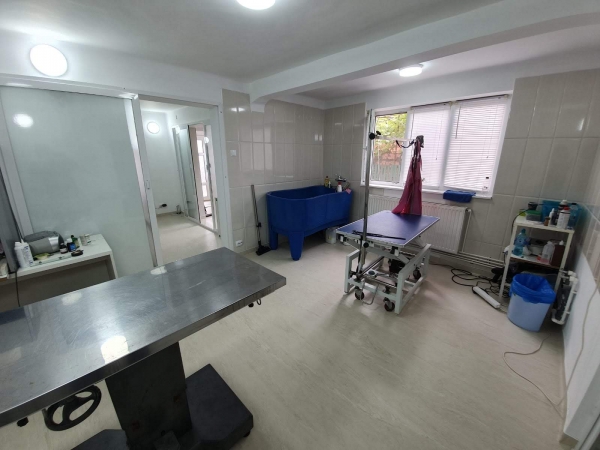 CABINET VETERINAR CHIAJNA - RADU VET 