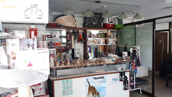 Cabinet veterinar Popesti Leordeni, Armonia Studio