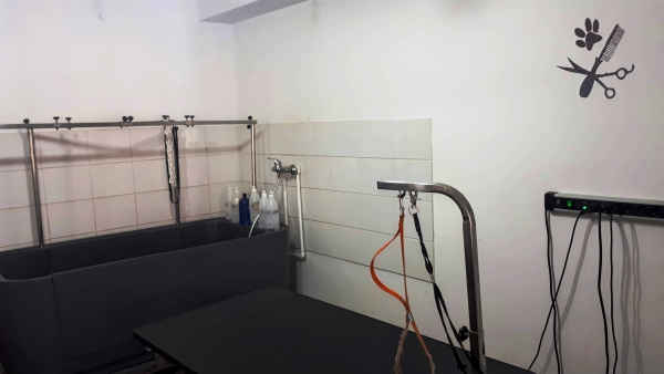 Cabinet veterinar Popesti Leordeni, Armonia Studio
