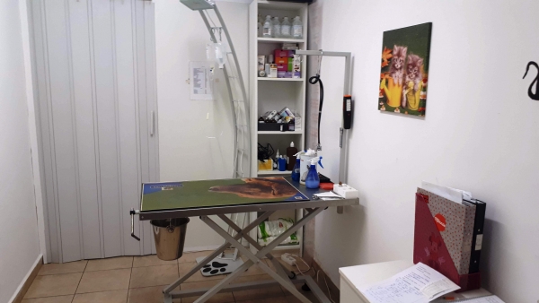 Cabinet veterinar Popesti Leordeni, Armonia Studio