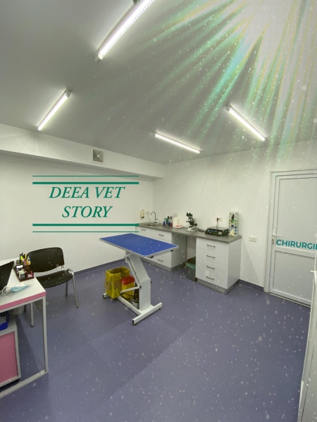 Deea Vet Story - Cabinet veterinar Berceni -Oltenitei sector 4