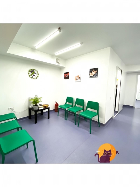 Deea Vet Story - Cabinet veterinar Berceni -Oltenitei sector 4