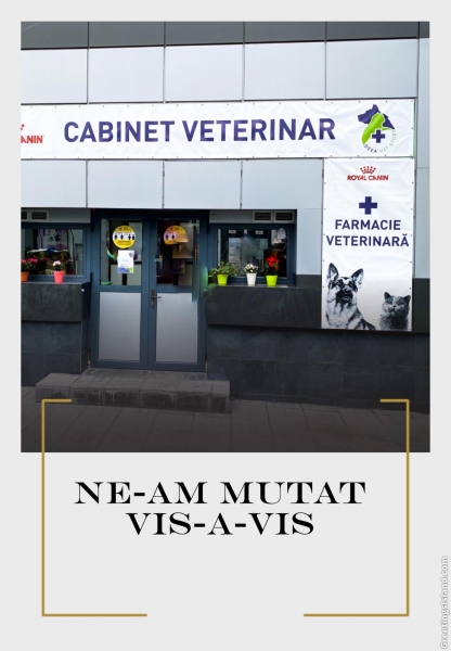 Deea Vet Story - Cabinet veterinar Berceni -Oltenitei sector 4