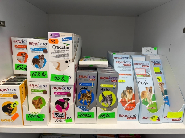 Cabinet veterinar Hani Vet Oltenitei sector 4